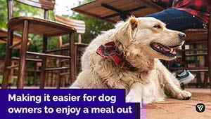 Ontario Making Patios Dog Friendly