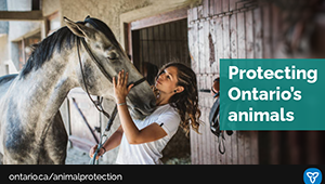 Ontario Adopts New Animal Welfare System